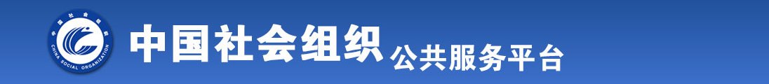 小屄、Com全国社会组织信息查询